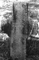 M009653