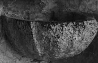 M009683