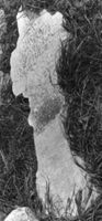 M009999