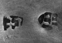 M010455