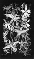 M010907