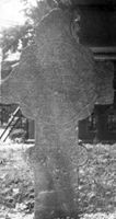 M013166