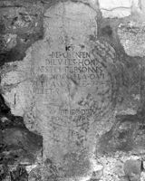 M013169