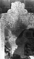 M013328