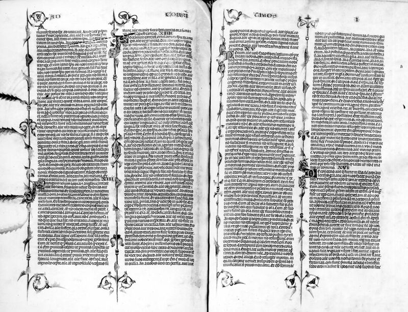 Bijbel van Anjou