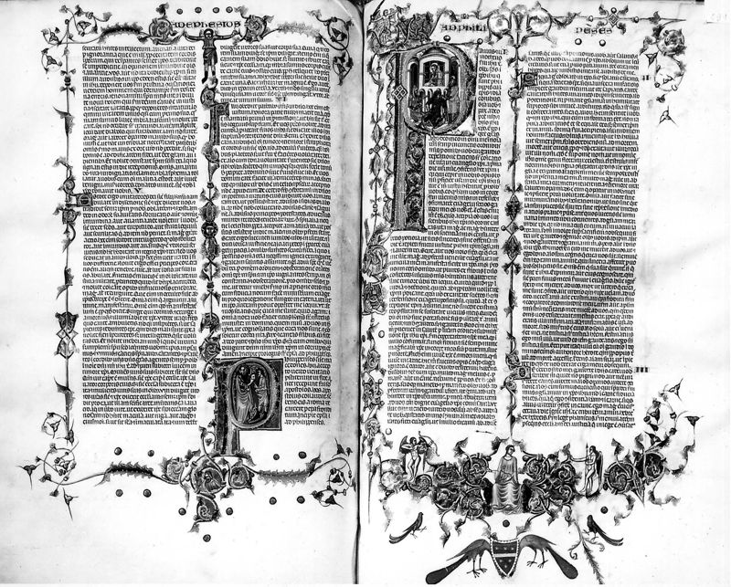 Bijbel van Anjou