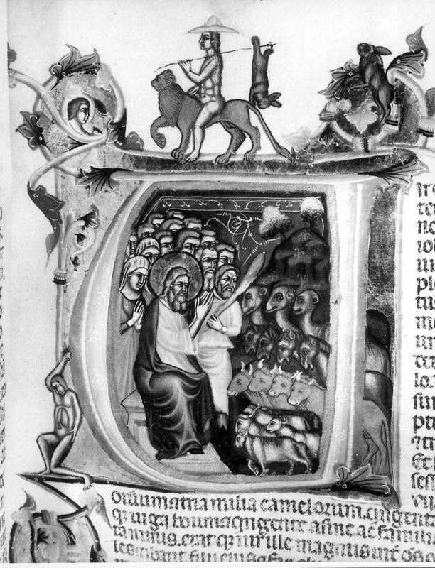 Bijbel van Anjou