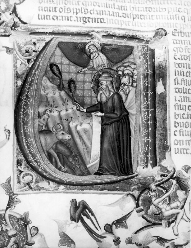Bijbel van Anjou