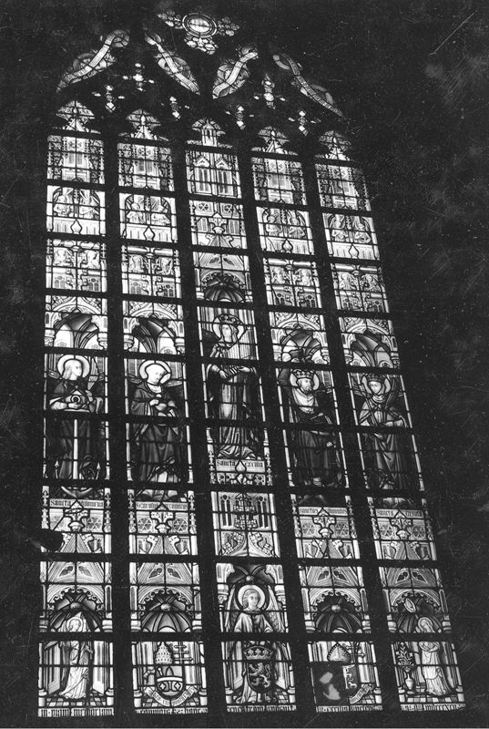 vitrail / Église Saints-Pierre-et-Guidon[Anderlecht]