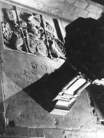 M016920