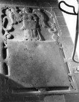 M016921