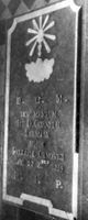 M016931