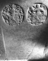 M016936