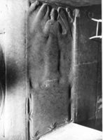 M016955