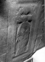 M016956