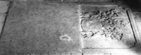 M016968
