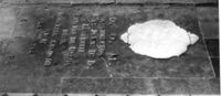 M016969