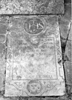 M019447