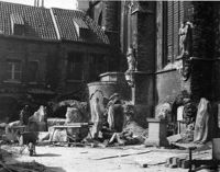 M019462