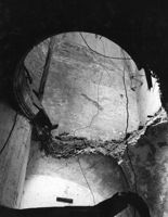 M019466