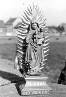 M019499