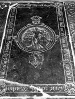 M029805