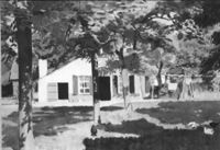 M036812