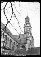 M036990