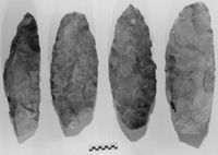 M038282