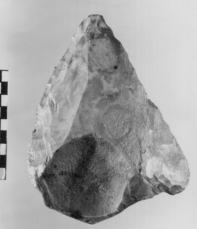 pante[préhistoire] / Musée communal d'Archéologie, d'Art et d'Histoire
