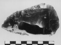 M038287