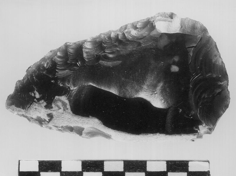 pante[préhistoire] / Musée communal d'Archéologie, d'Art et d'Histoire