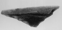 M038298