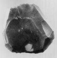 M038303