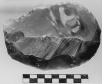 M038310