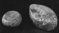 M038327