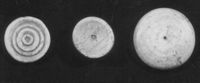M038353