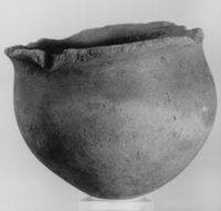 M038364