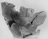 M038371
