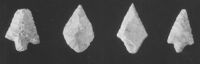 M038373