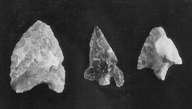 pointe de flèche / Musée communal d'Archéologie, d'Art et d'Histoire
