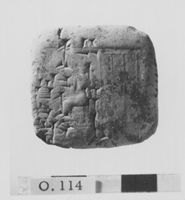 M038753