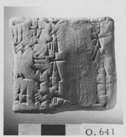 M038769