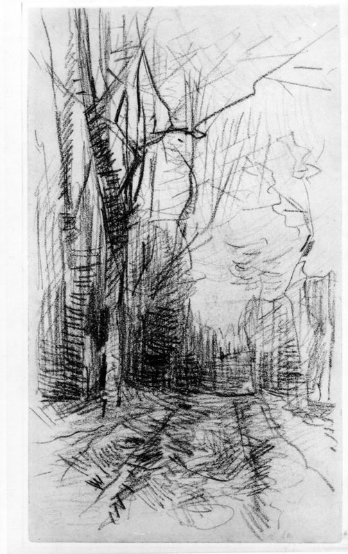 Allée avec arbre