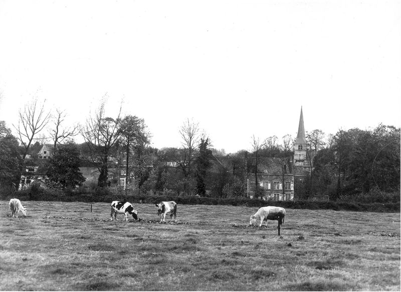 territoire agricole / Aspect[Itterbeek]