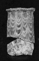 M043884