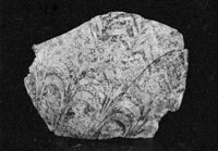 M043885