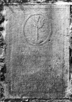 M055088