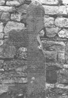 M058389