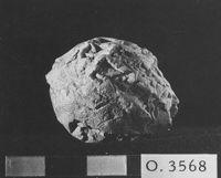 M060038
